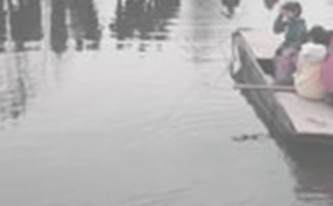 ������������2ƪ