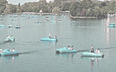 ��ɽ��ҹ����ӛ��������xӖ����