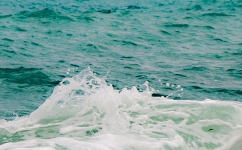 �P�ڡ��w�B���~�����x���