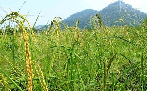 《奮斗在新時代的春天》讀后感