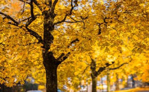 ͨ�Ã����L�����ӅR��95��