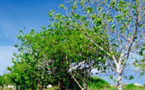 ���^���^��������Ҳ���L(f��ng)����(y��u)��ɢ��