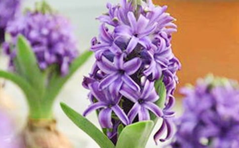 �L�����B�m(x��)�^����ӛ