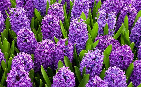 �L(f��ng)��������(�R��15ƪ)