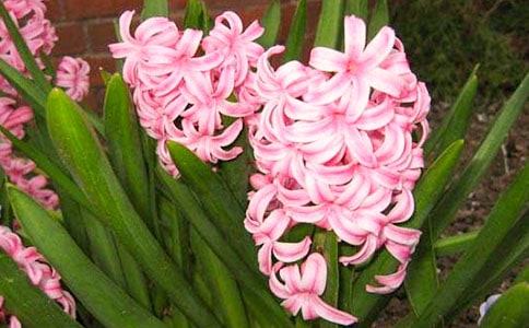 �L��������15ƪ