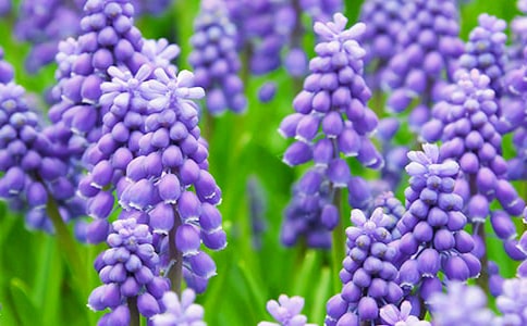 �P���L���ӵ���ӛ