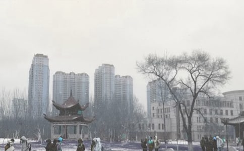 �茑�Lѩ��Ԋ��