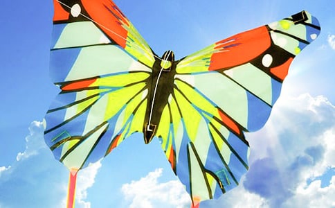 �L(f��ng)�~�Ć�ʾ����(15ƪ)