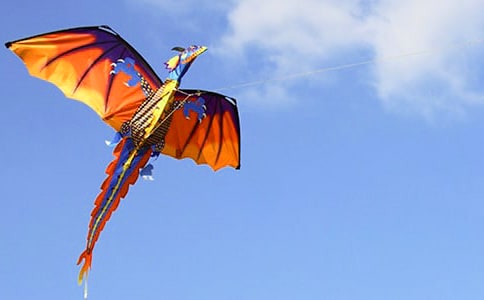 �����L(f��ng)�~����ӛ����