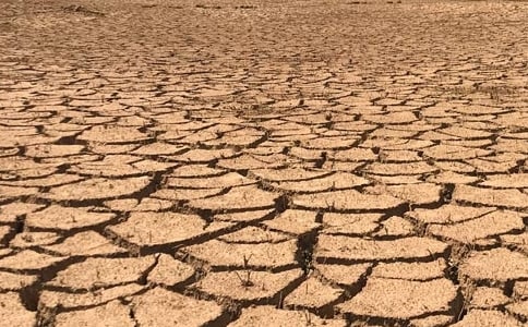 世界防治荒漠化和干旱日作文:保護(hù)環(huán)境,創(chuàng)造和諧社會(huì)