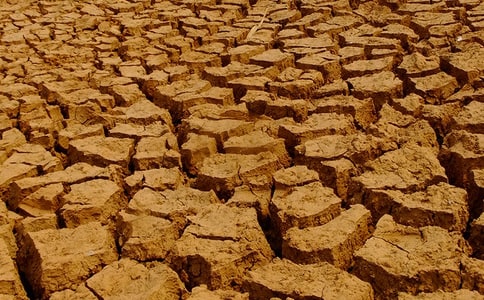 干旱為何賴著不走閱讀答案