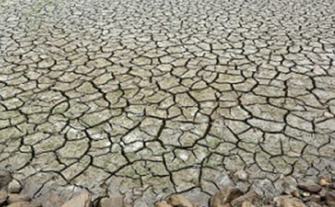 �������w�ɺ���ô̎��