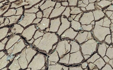 ������λ�Į���͸ɺ��ջ�ӷ���