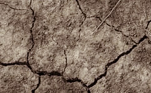 �����ֹ��Į���͸ɺ������ģ���(��i)�o(h��)�Gɫֲ��