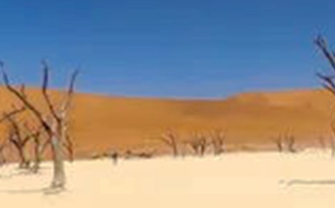 干旱的反義詞是什么