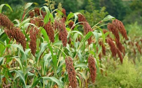 �������顷�x��з���