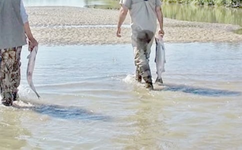 �ҵĺø炃����