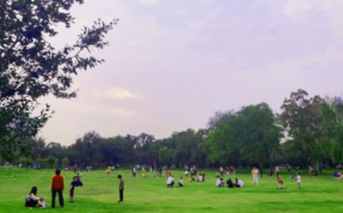 ���@����ӛ300��