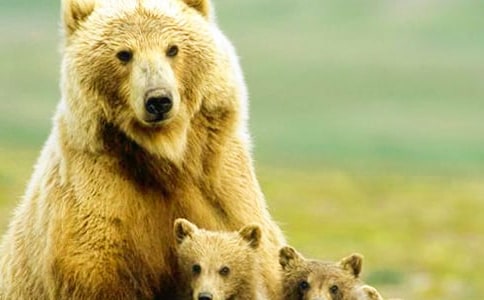 �����������2ƪ