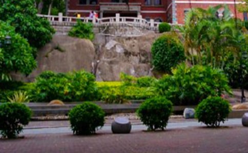 福建鼓浪嶼旅游導(dǎo)游詞范文