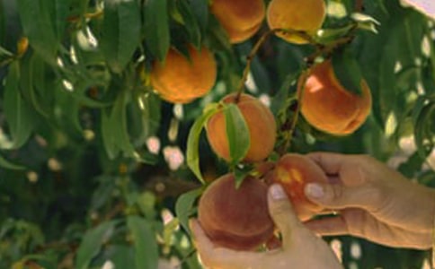 �����@�C���ˡ��̌W�̰�