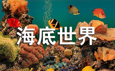 ���u�������猧���~(ͨ��10ƪ)