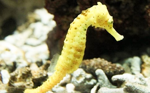 ������g(sh��)���R�̰�