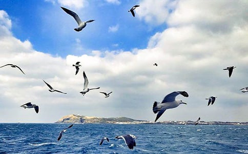 ���t����̹�Ľ̰�