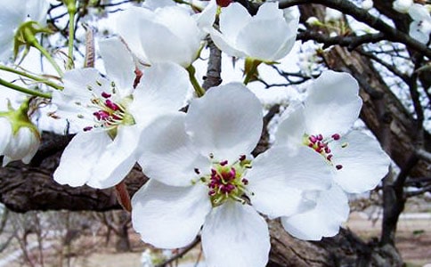 ����ɽ�����~