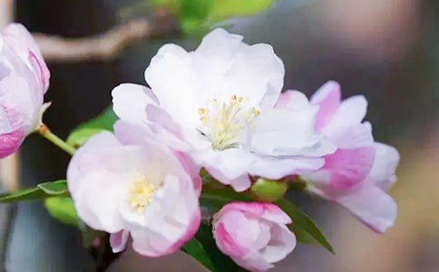 ͬ��݅�xδ�_����ȫԊ���p��