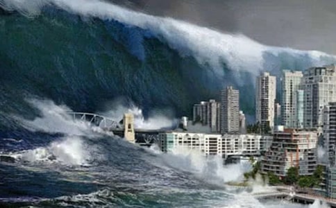 為海嘯災民獻愛心作文