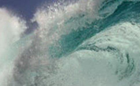 海嘯與愛心作文