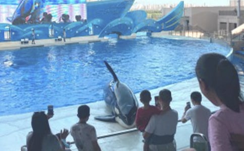 美麗的極地海洋公園_550字