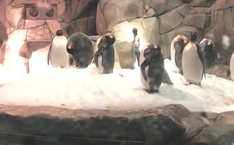 ���󹫈@һ������ӛ��ͨ��47ƪ��