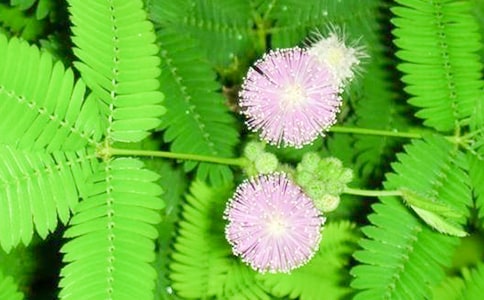 ���߲��^����ӛ����400�֣����x46ƪ��