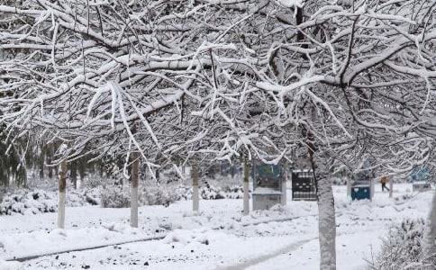 �������˄������ġ��]��