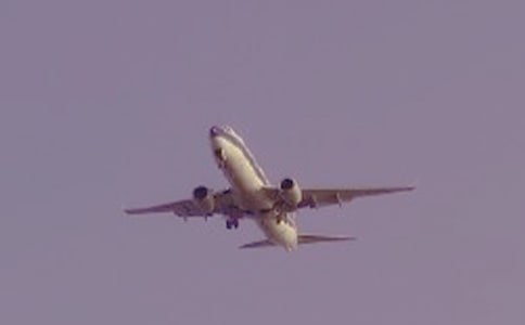 愿友誼的航班永不停飛作文1200字