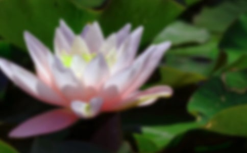 ӳ�պɻ��S�P