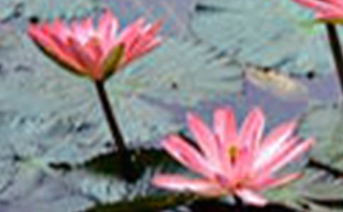 �ɻ����f�n�巶��