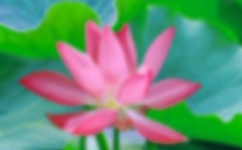 �n�ġ��ɻ����̌W�̰�