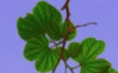 �������C������