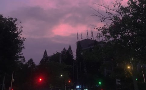 ���º�ҹ���f�f