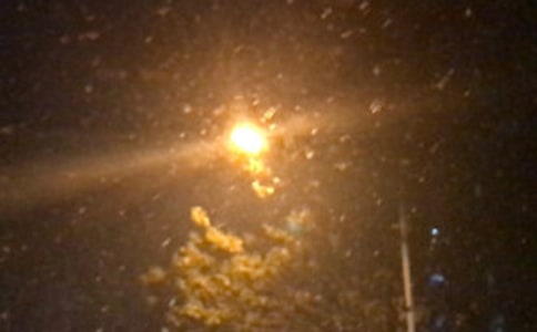 ��ҹ�������f�f