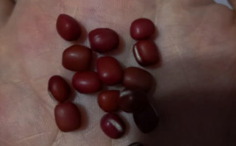 ���t�������x���