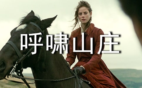 《呼嘯山莊》初中讀后感900字