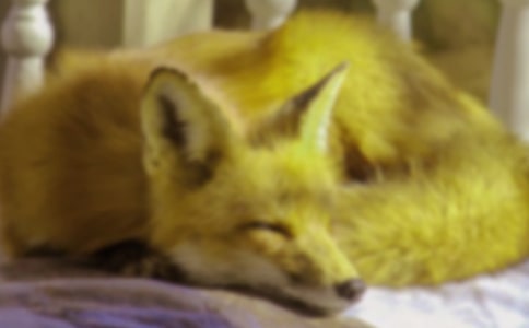 ��؂�N���f�n��