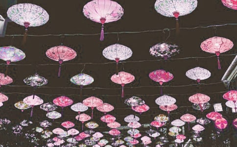 看花燈初一學生寒假作文