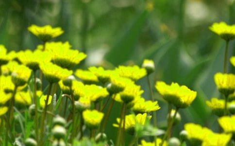 ���õĻ��䃞������45�l