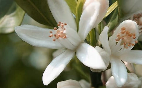 ���x���䃞�������\��38�l