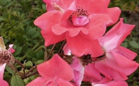 ���̵Ļ��䃞(y��u)�����Ӽ��\49�l